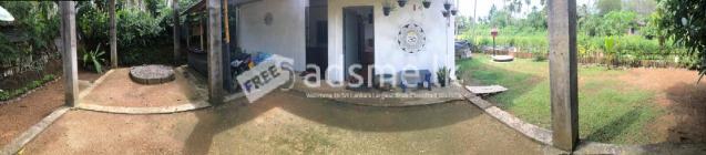 නිවසක් කුලියට දීමට තිබේ