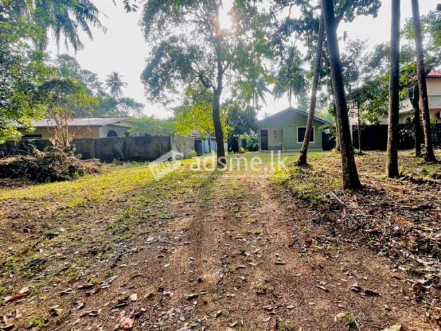 300 Perches Land with House for Sale in Dibbedda, Panadura.