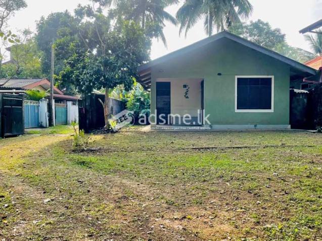300 Perches Land with House for Sale in Dibbedda, Panadura.