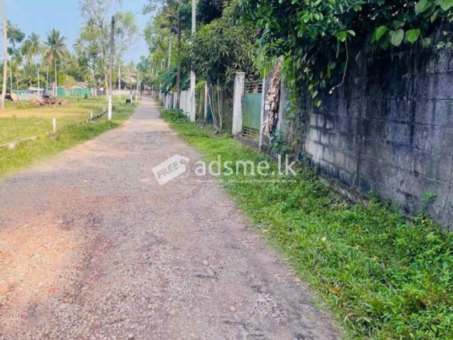 300 Perches Land with House for Sale in Dibbedda, Panadura.