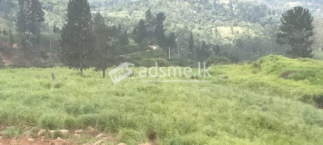 Prime Land for Long-Term Lease – Galaha (35 Minutes from Kandy)