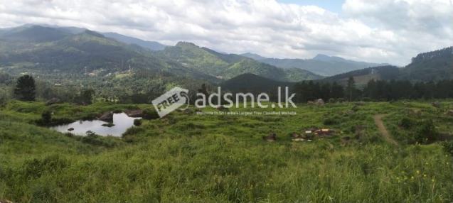 Prime Land for Long-Term Lease – Galaha (35 Minutes from Kandy)