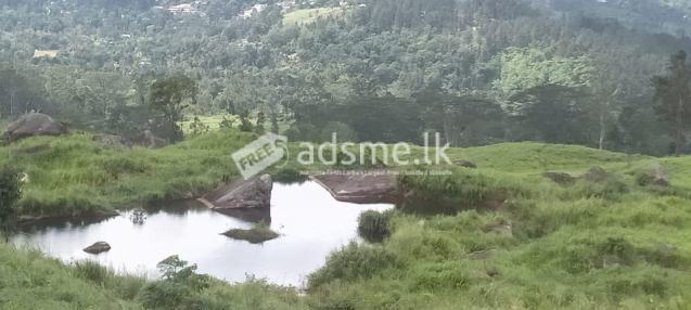 Prime Land for Long-Term Lease – Galaha (35 Minutes from Kandy)