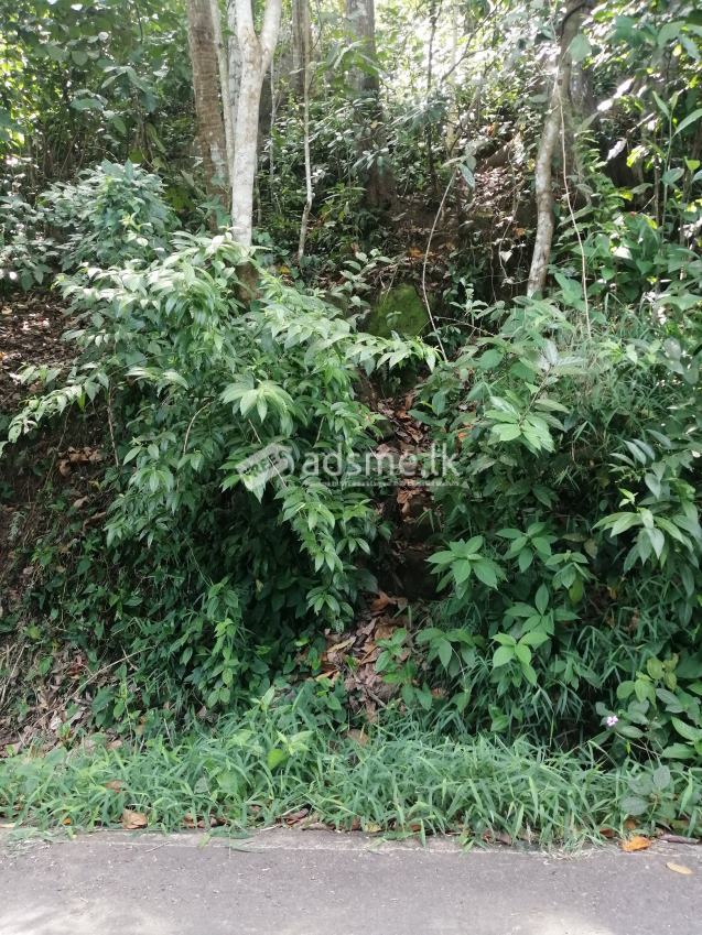 Land for sale