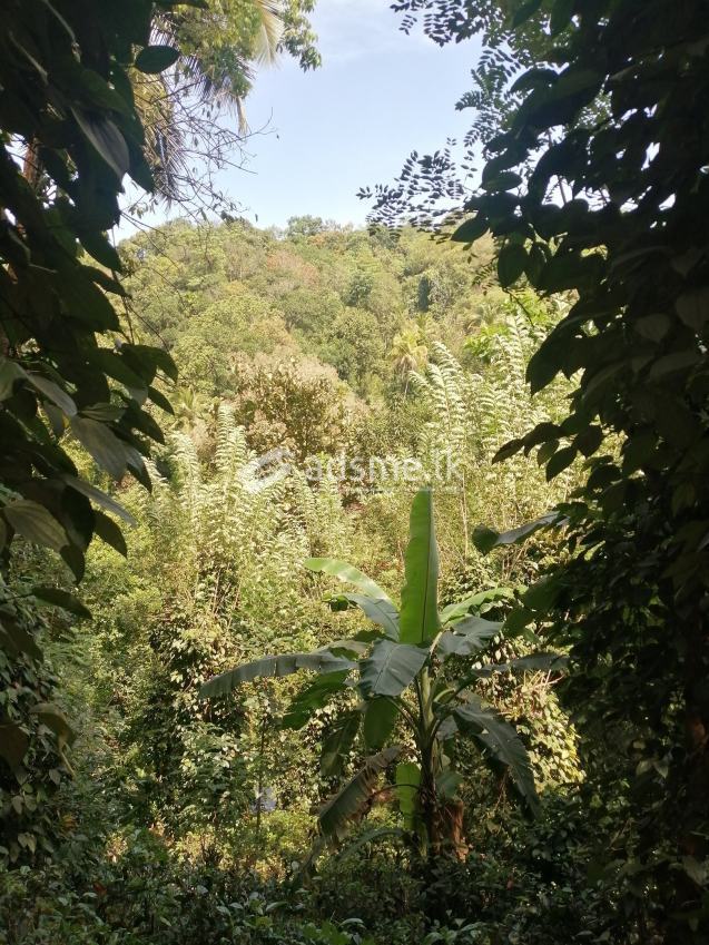 Land for sale
