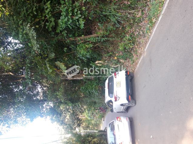 Land for sale