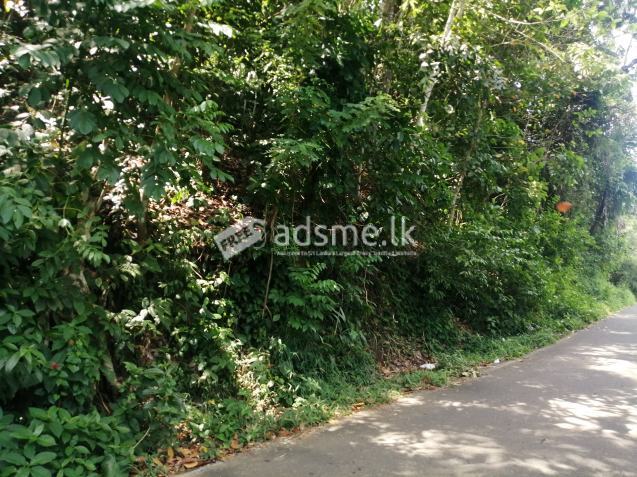 Land for sale