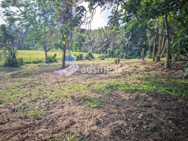 Land For Sale