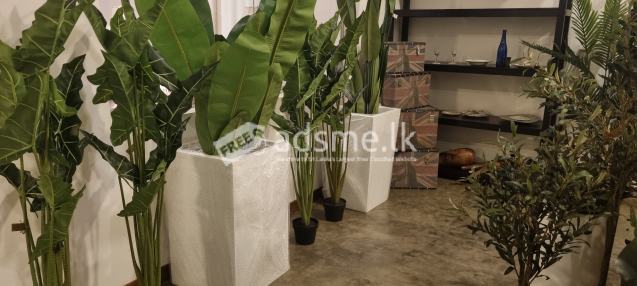 Elevate Your Projects with Premium Fiberglass Planters from Urban Industries!