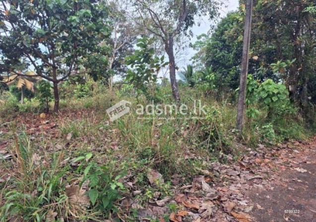 40 Perches Land for sale in Sapugasthanna Road, Kalagedihena.