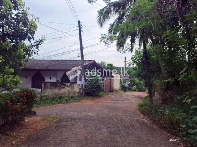 40 Perches Land for sale in Sapugasthanna Road, Kalagedihena.