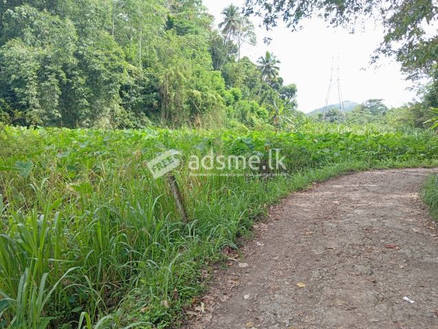 Land For Sale
