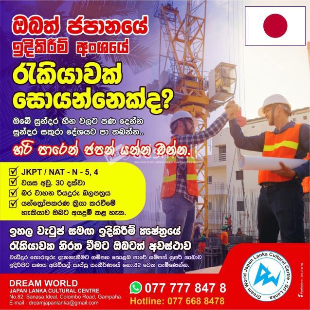 Working Visa