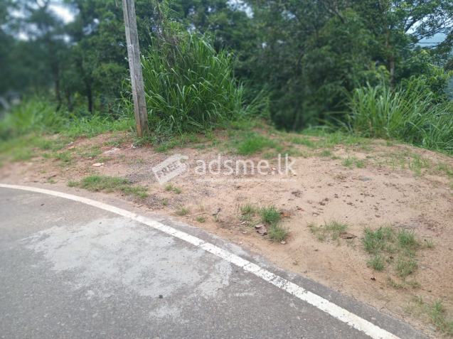 Partly constructed landscapes  For immediate sale