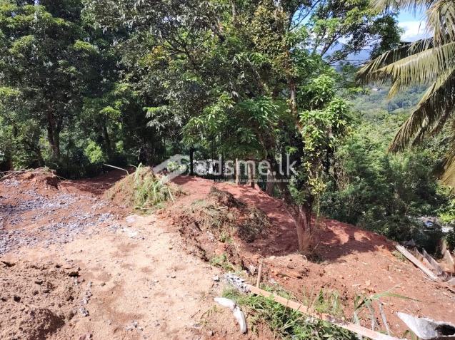 Partly constructed landscapes  For immediate sale