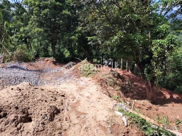 Partly constructed landscapes  For immediate sale