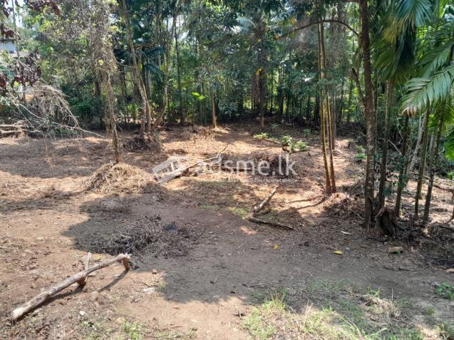 Land for Sale in Less Than 2km Away From Ratnapura