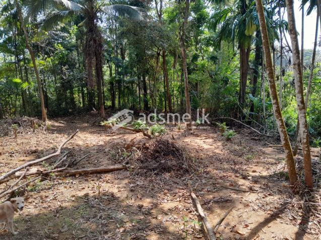 Land for Sale in Less Than 2km Away From Ratnapura