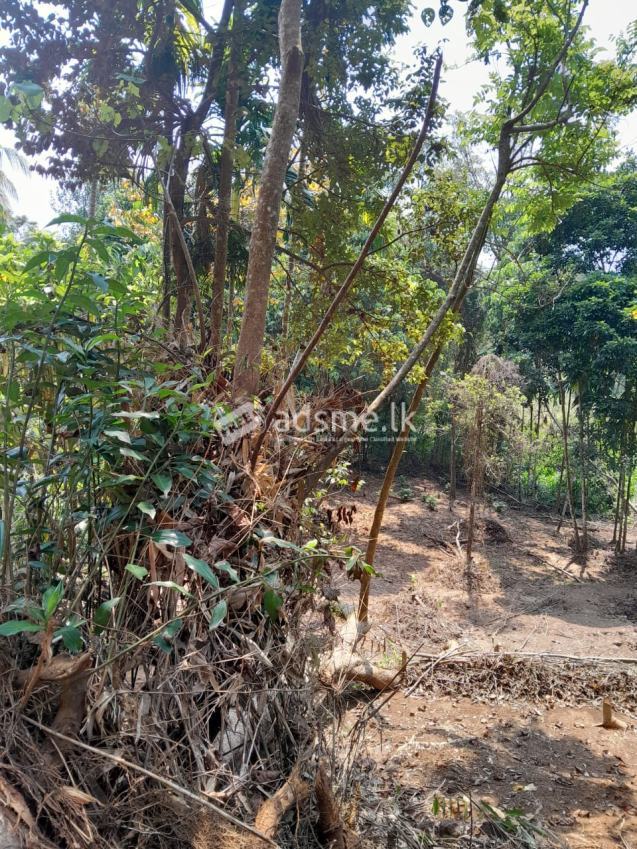 Land for Sale in Less Than 2km Away From Ratnapura