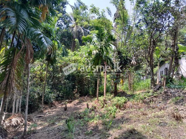 Land for Sale in Less Than 2km Away From Ratnapura