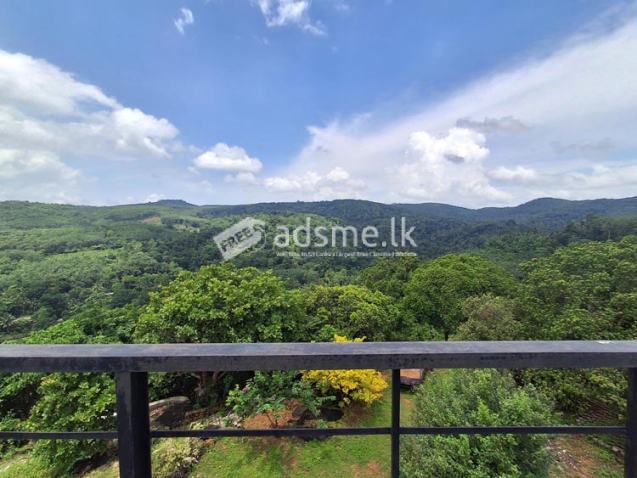 14 Acres of Cinnamon Cultivated Land For Sale in Avissawella.
