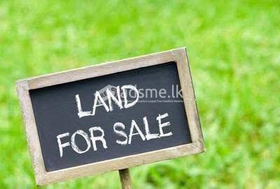 Land for sale