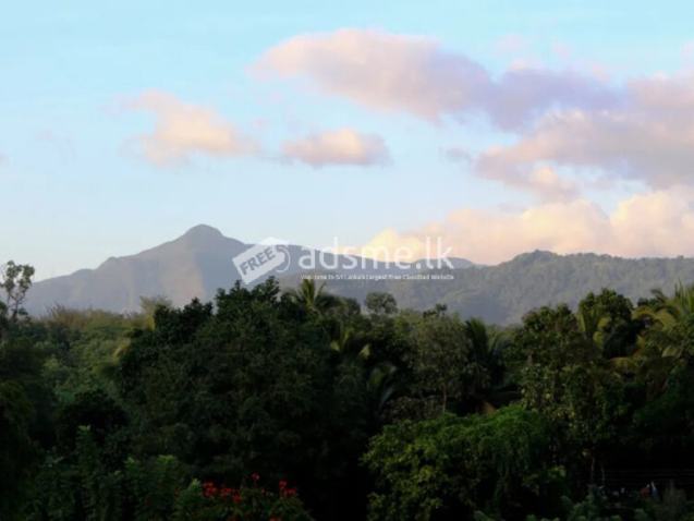 Holiday Home for Sale in Balagolla, Kandy.