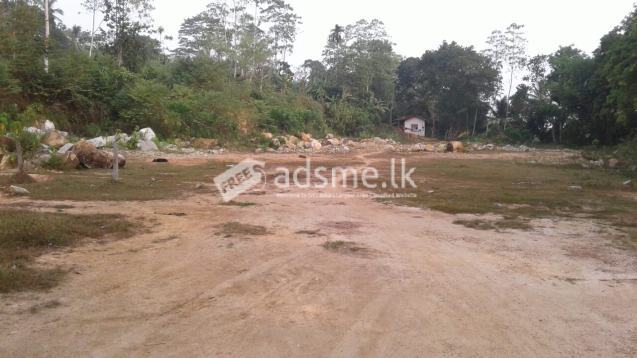 බද්දේගම ගිනිමැල්ලගහ කිරිවැල්ලගහ 243ක ඉඩමක් විකිනීමට