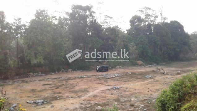 බද්දේගම ගිනිමැල්ලගහ කිරිවැල්ලගහ 243ක ඉඩමක් විකිනීමට