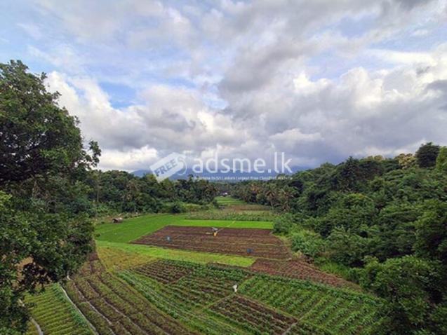 Holiday Home for Sale in Kundasale, Kandy.