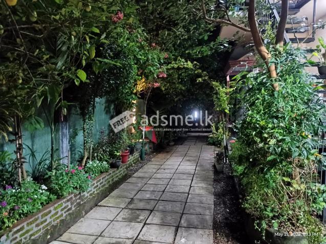Prime Commercial/Residential Property in Gampola - Rs. 49 Million