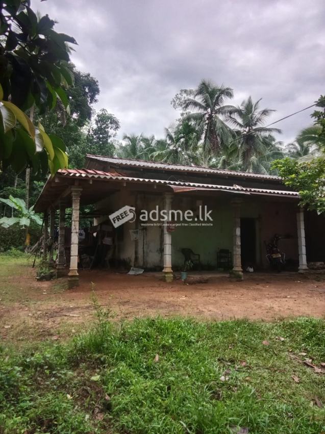 House For Sale
