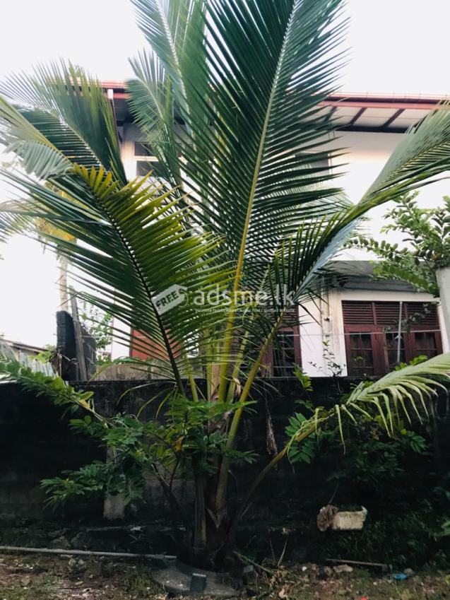 Home for sale 03 Divok Reale Estate