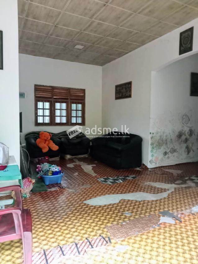 House For Sale