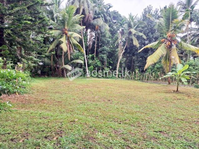Residential cum Commercial Land for Sale in Nittambuwa.