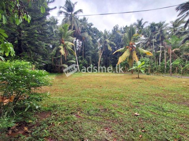Residential cum Commercial Land for Sale in Nittambuwa.