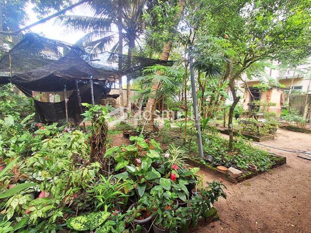 Highly Residential Cum Commercial Land for Sale at Gampaha City