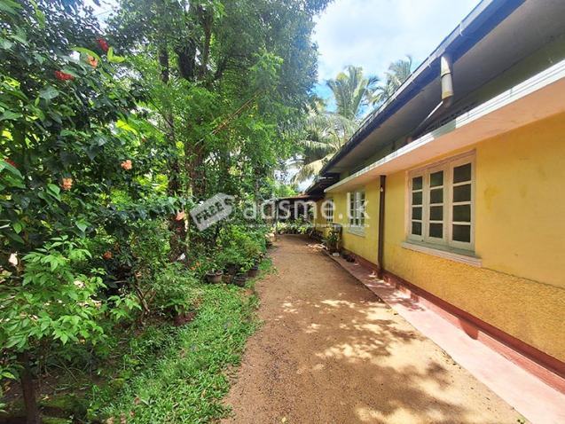 Highly Residential Cum Commercial Land for Sale at Gampaha City