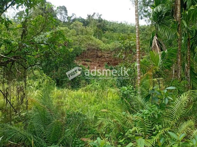 Land for sale Hadigalla Mathugama