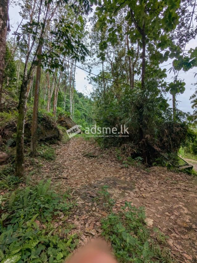 Land for sale Hadigalla Mathugama