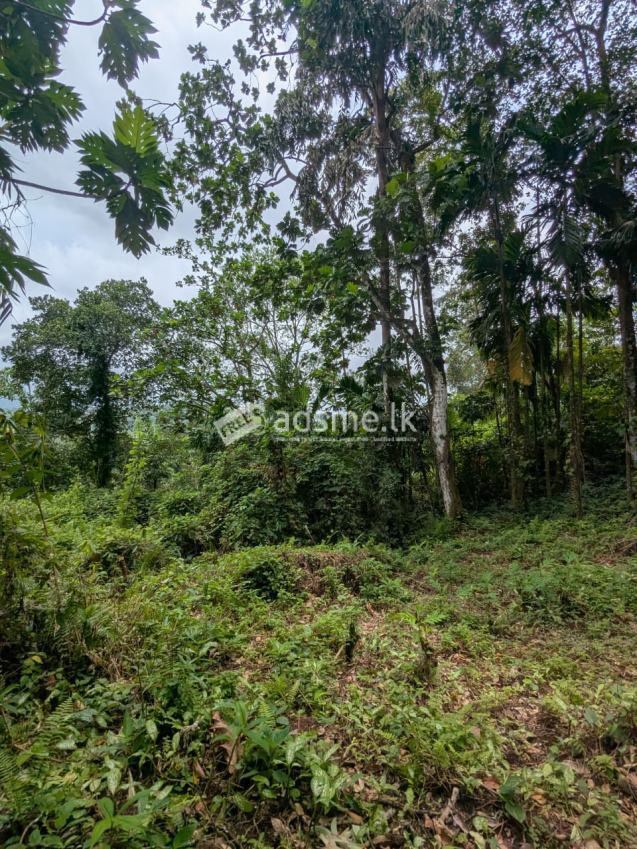 Land for sale Hadigalla Mathugama