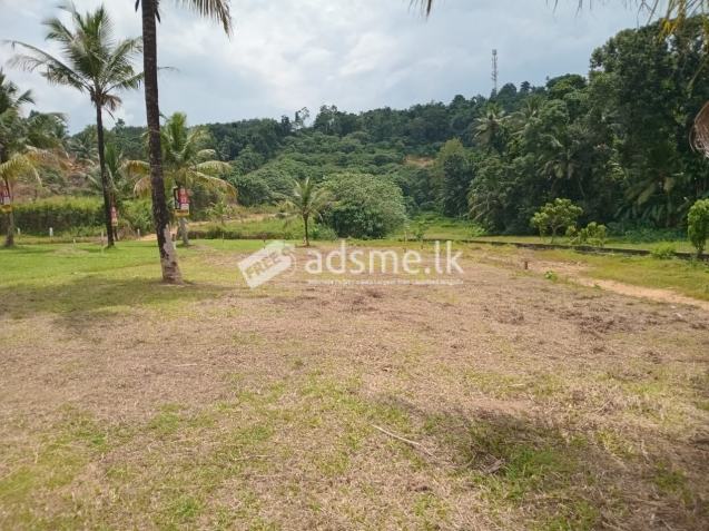 Land For sale in Nittabuwa