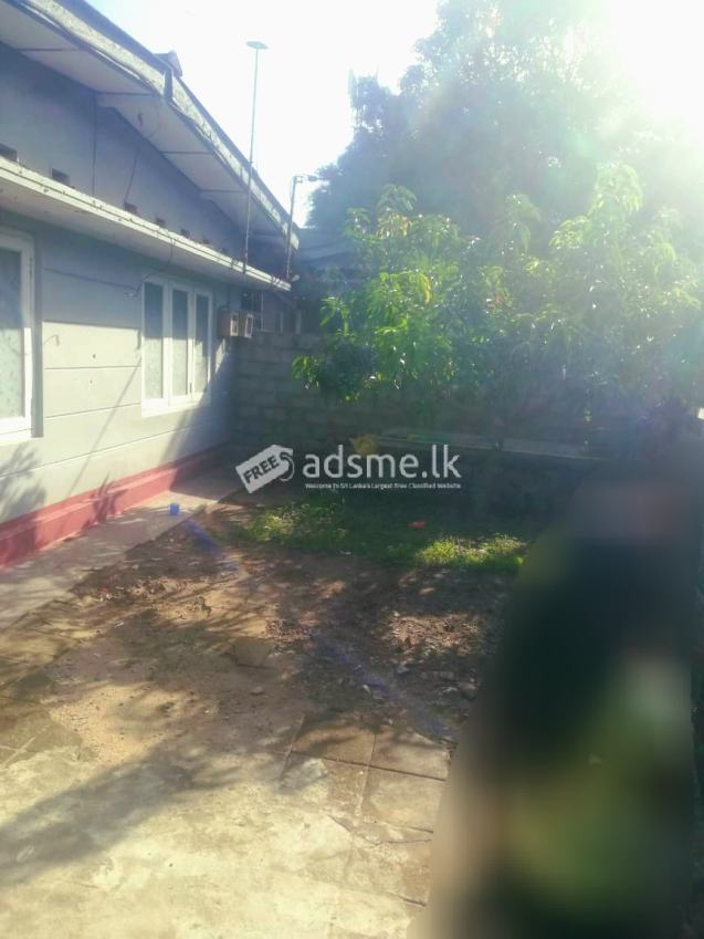 House with land sale in katubadda