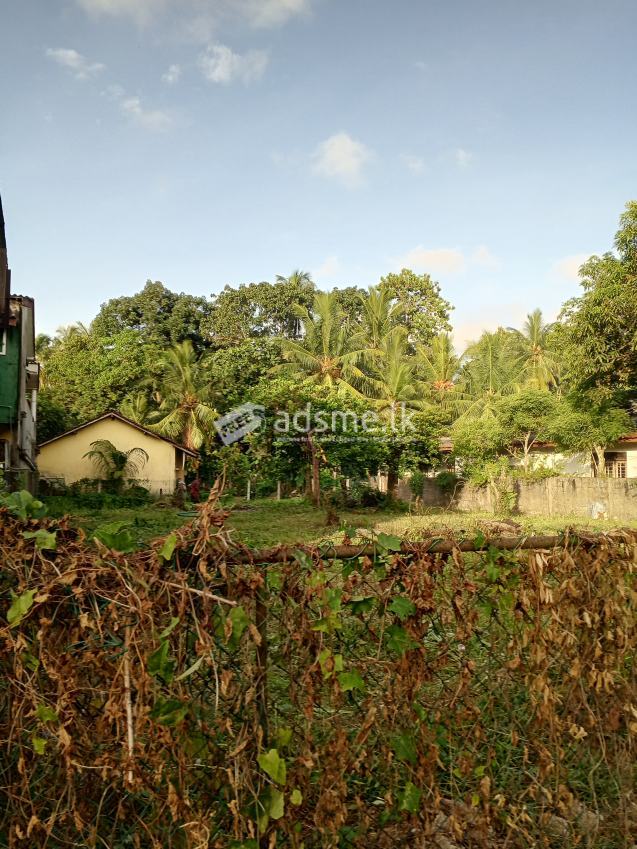 BARE LAND FOR LEASE