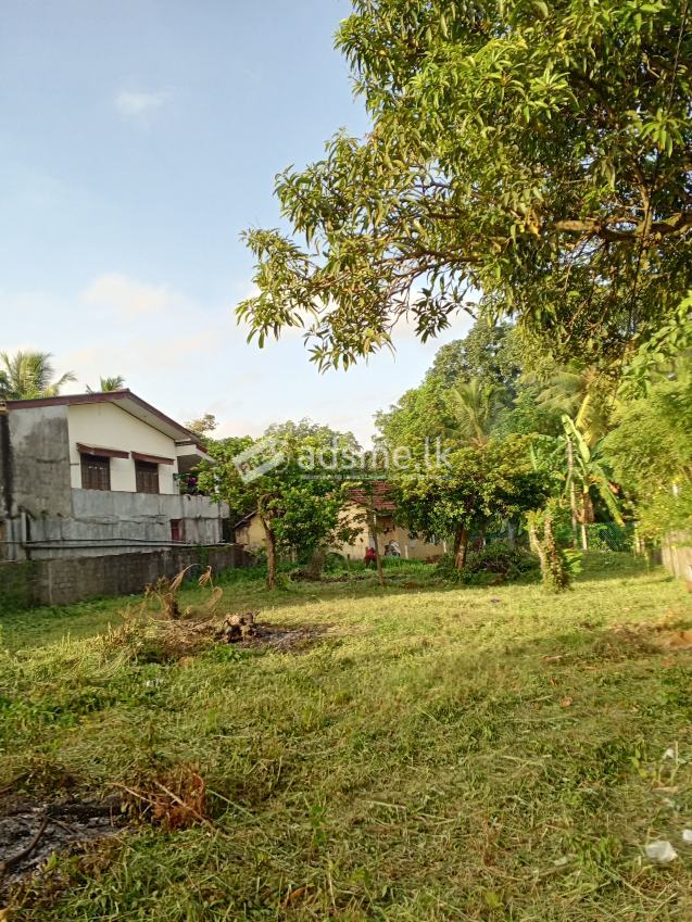 BARE LAND FOR LEASE