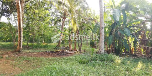 Land for Sale Bandaragama Weediyagoda Town