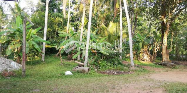 Land for Sale Bandaragama Weediyagoda Town