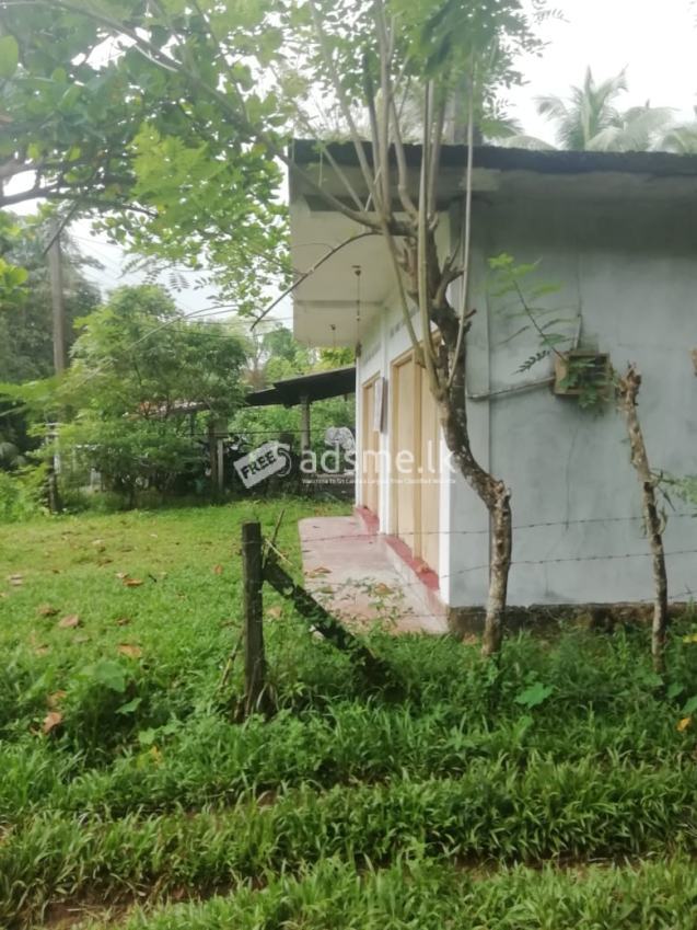 Land For Sale In Horana
