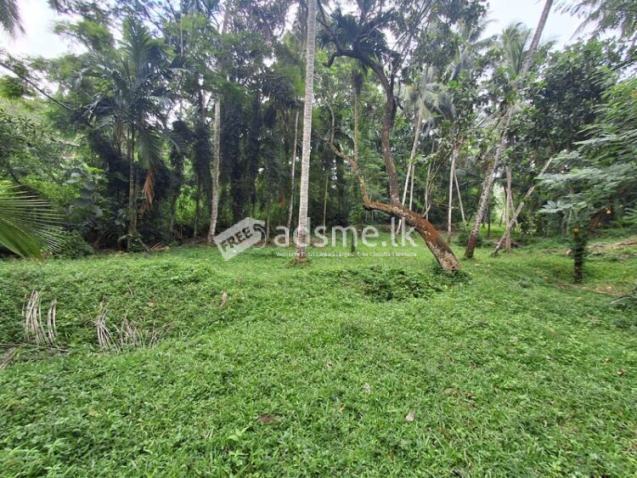 1 Acres of Land for Urgent Sale in Ahugammana, Delgoda