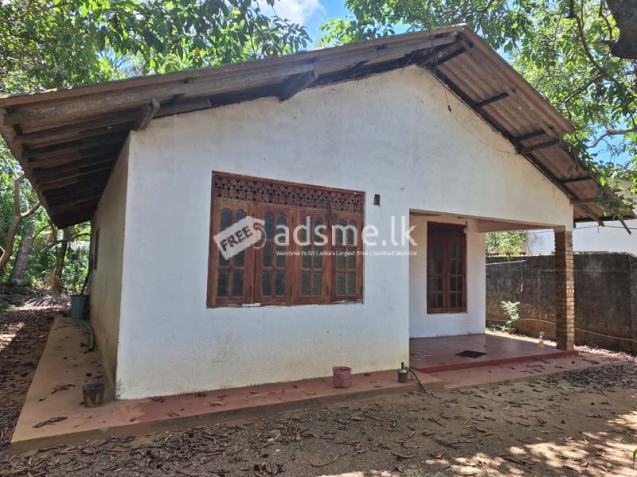 Valuable 40 Perches Land for Sale in Malwana, Biyagama.